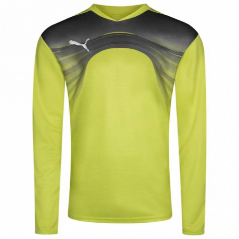 Кофта Воротаря Puma Goalkeeper 700785-32