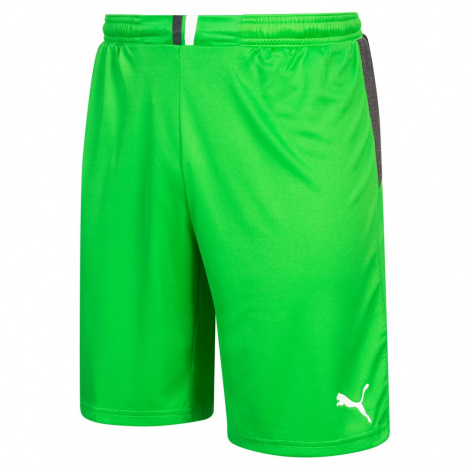 Шорты вратарские Puma King 701701-43