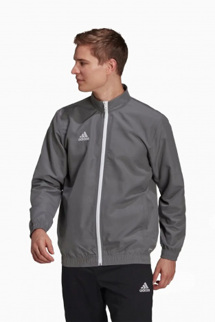 Кофта adidas Entrada 22 Presentation - серый