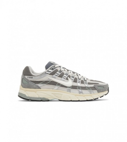 Кроссовки Nike P-6000 "Flat Pewter/Light Iron Ore/Metallic Silver"