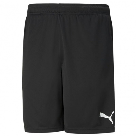 Шорты Спортивные Puma 657336-0348/50