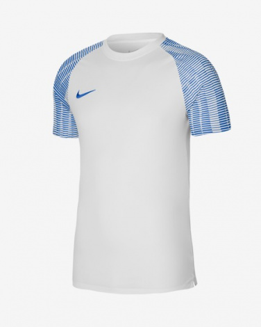 Футболка Игровая Nike Dri-Fit Academy Dh8369-102