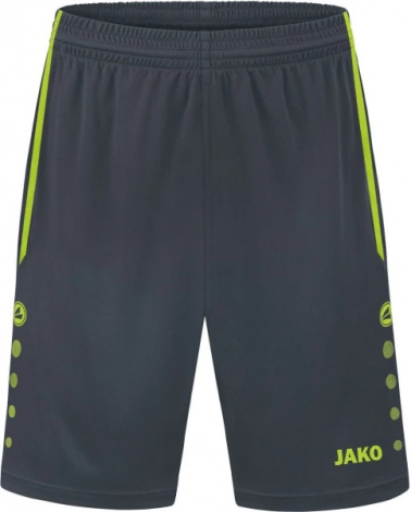 Шорти Jako ALLROUND сірі 4499-833