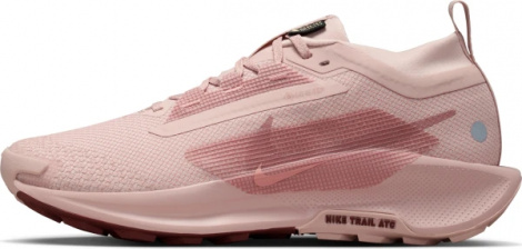 Кроссовки Nike W Pegasus Trail 5 Gtx