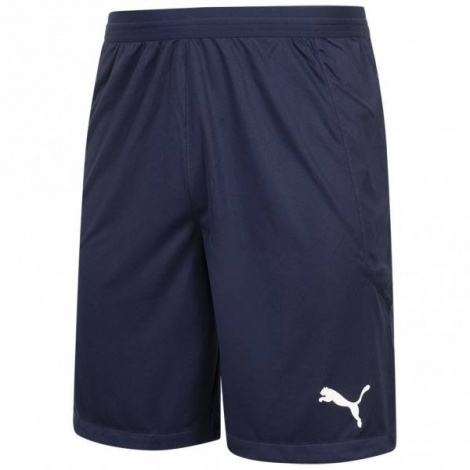 Шорты Puma Teamfinal Knit Men's Shorts