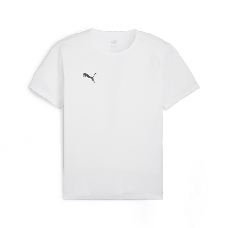 Футболка Puma Teamrise Matchday
