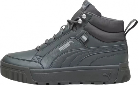 Черевики Puma TARRENZ SB III темно-сірі 39262803