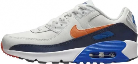 Кроссовки детские Nike AIR MAX 90 LTR (GS) разноцветные CD6864-120