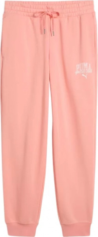 Спортивные штаны женские Puma CLASS COMFORT светло-розовые 68503718