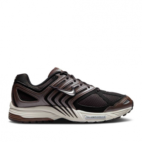 Кросівки Nike Air Pegasus 2005