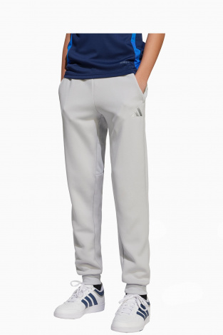 Дитячі штани adidas Tiro 25 Junior - Сірий