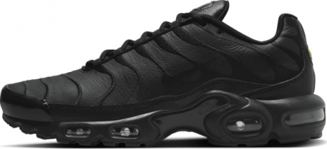 Кросівки Nike AIR MAX PLUS чорні AJ2029-001