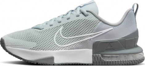 Кросівки для тренувань Nike AIR MAX ALPHA TRAINER 6 сірі FQ1833-002