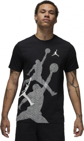 Футболка Nike M J BRAND SS HBR CREW черная FN6025-010