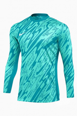 Вратарская кофта Nike Dri-FIT Gardien V - голубой