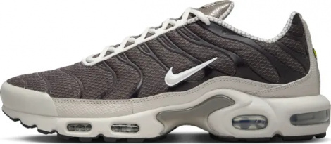Кросівки Nike AIR MAX PLUS бежево-сірі IB7679-200