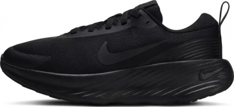 Кросівки жіночі Nike PROMINA чорні FV6343-001