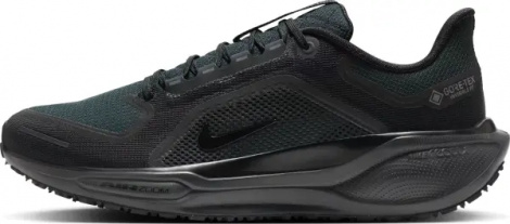 Кроссовки беговые Nike PEGASUS 41 GORE-TEX черные FQ1356-001