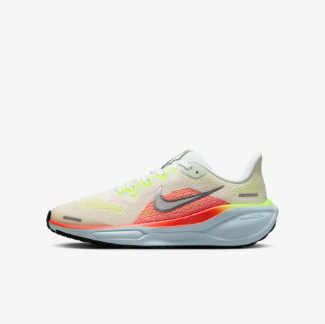 Кросівки Nike Air Zoom Pegasus 41