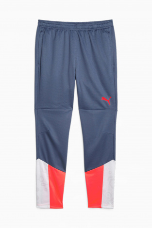 Штаны Puma individualCUP Training - синий