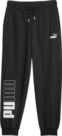 Спортивні штани жіночі Puma POWER чорні 676025-01