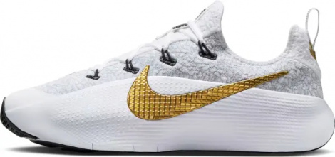 Кроссовки для тренировок Nike LEBRON TR 1 бело-золотые FJ6151-006