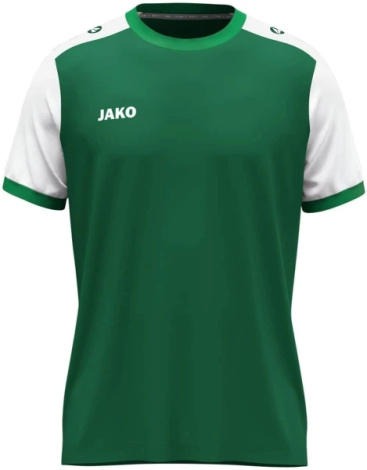 Футболка джерси Jako DYNAMIC S/S зелено-белая 4270-205
