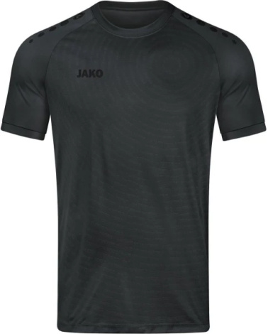 Футболка Jako WORLD сіра 4230-850