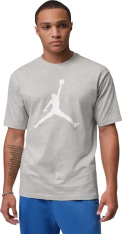 Футболка Nike JORDAN сіро-біла IF5568-050