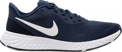 Кросівки Nike REVOLUTION 5 BQ3204-400