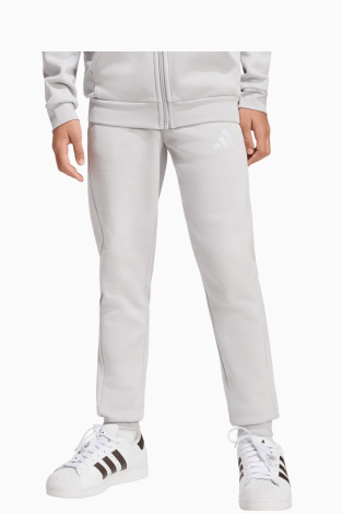 Штаны adidas Entrada 26 Sweat Junior - серый
