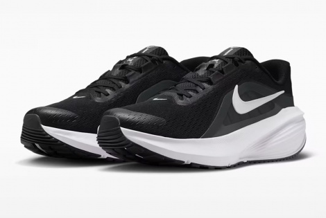 Кросівки Nike Downshifter 14 IB1895-002