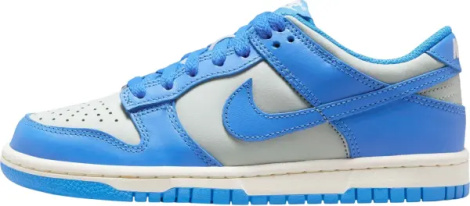 Кросівки підліткові Nike DUNK LOW (GS) блакитно-світло-сірі FB9109-004