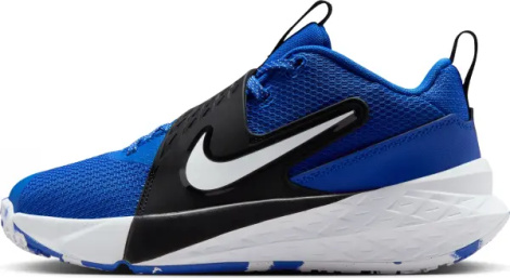 Кросівки баскетбольні підліткові Nike TEAM HUSTLE D 12 (GS) синьо-чорно-білі HF6279-400
