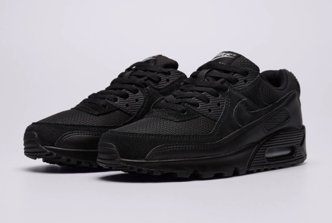 Кросівки Nike Air Max 90 DM0029-024