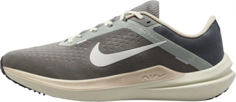 Кроссовки Nike Air Winflo 10
