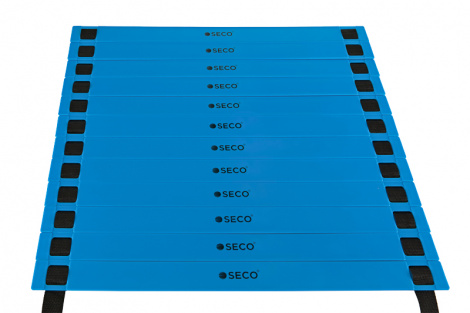Бігові тренувальні сходи 12 щаблів 6 м колір: синій SECO
