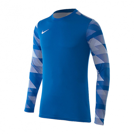 Кофта Nike Dry Park Iv Goalkeeper Jersey Long Sleeve