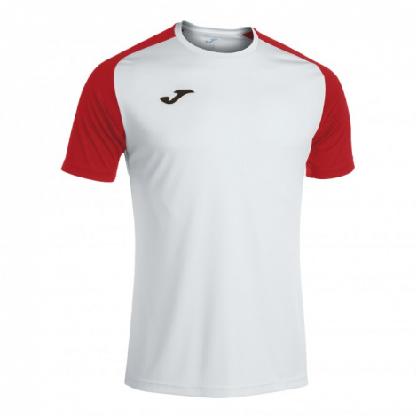 Футболка Joma ACADEMY IV біло-червона 101968.206