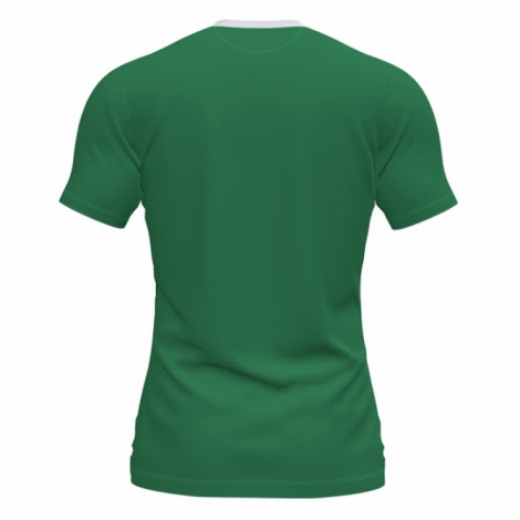 Футболка Joma FLAG II зелено-біла 101465.452