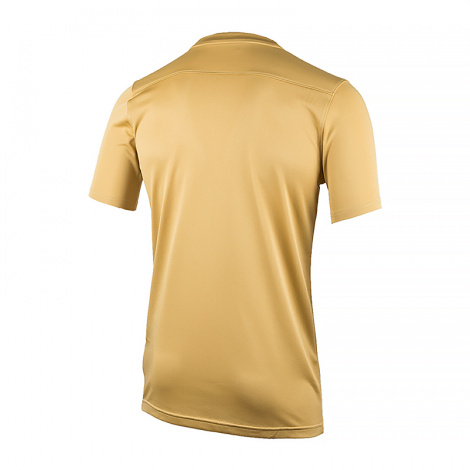 Футболка Тренувальна Nike M Nk Df Park Vii Jsy Ss