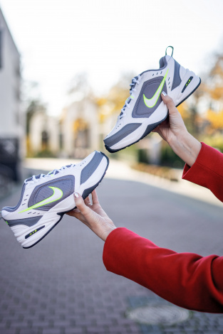 Кроссовки Nike Air Monarch Iv