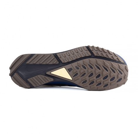Кросівки бігові Nike REACT PEG TRAIL 4 GTX SU світло-коричневі FD5841-200