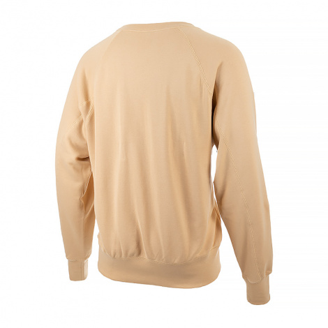 Світшот Nike AIR FT HOODIE бежевий DV9829-252