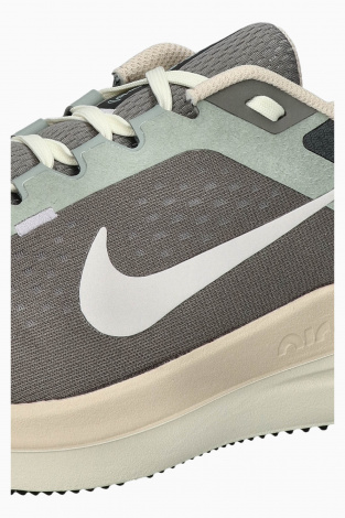 Кросівки Nike Air Winflo 10