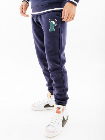 Спортивні штани Puma SWEATPANTS темно-сині 67601906