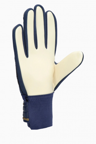 Воротарські рукавиці Reusch Attrakt Starter Solid