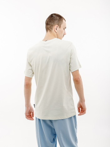 Футболка Nike M TEE LBR BIG SWOOSH сіра FQ3785-020