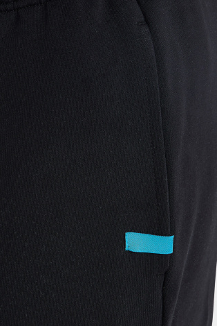 Брюки Arena Team Pant Solid