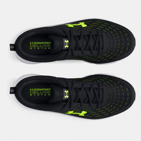 Кроссовки Under Armour Charged Assert 10